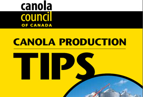 canola-tips-publication