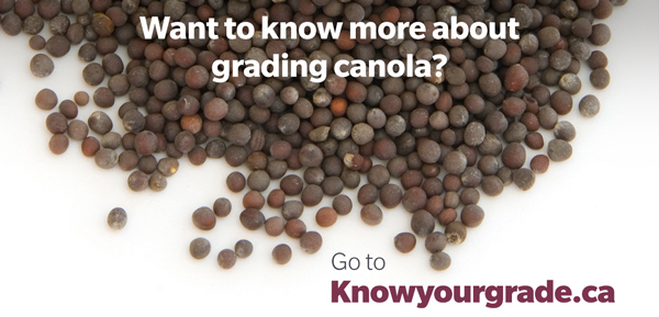 know your canola grade 