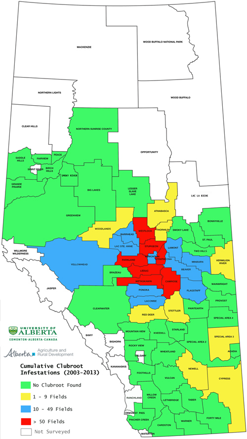 Alberta County Maps Online Clubroot Infested Areas In Alberta In 2013 | Alberta Canola Producers  Commission