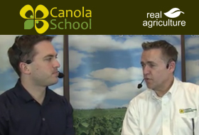 canola phosphorus for requirements Alberta  Listing   Canola Canola  School Categories