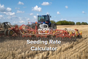 canola seed calculator