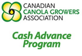 cash advance gladwin mi