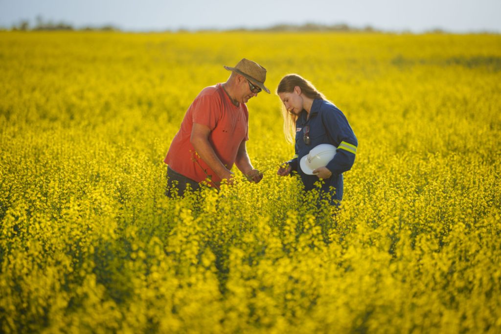 Photo of farmer and energy sector worker standing in a canola field in Alberta.